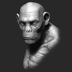 Ape Bust Sculpture
