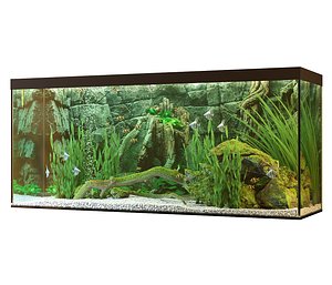 aquarium stones 3D model