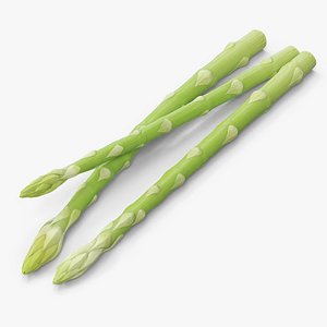 Fresh Green Asparagus Spears