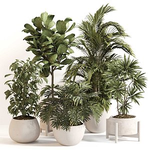 Indoor Plant Set 0145 3D