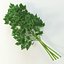 3ds max parsley