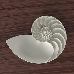 3d model nautilus shell