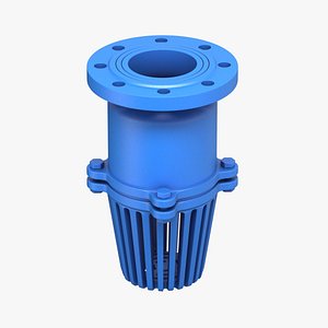 Foot Valve model