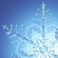 Collection of Snowflakes