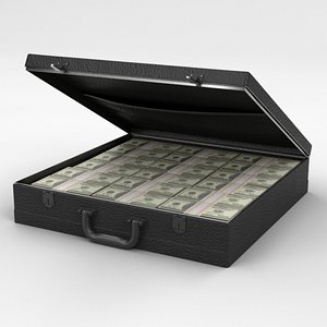 3d model briefcase money