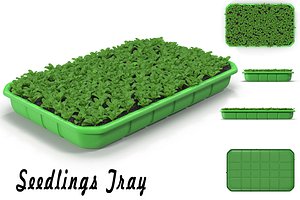 3d seedling tray