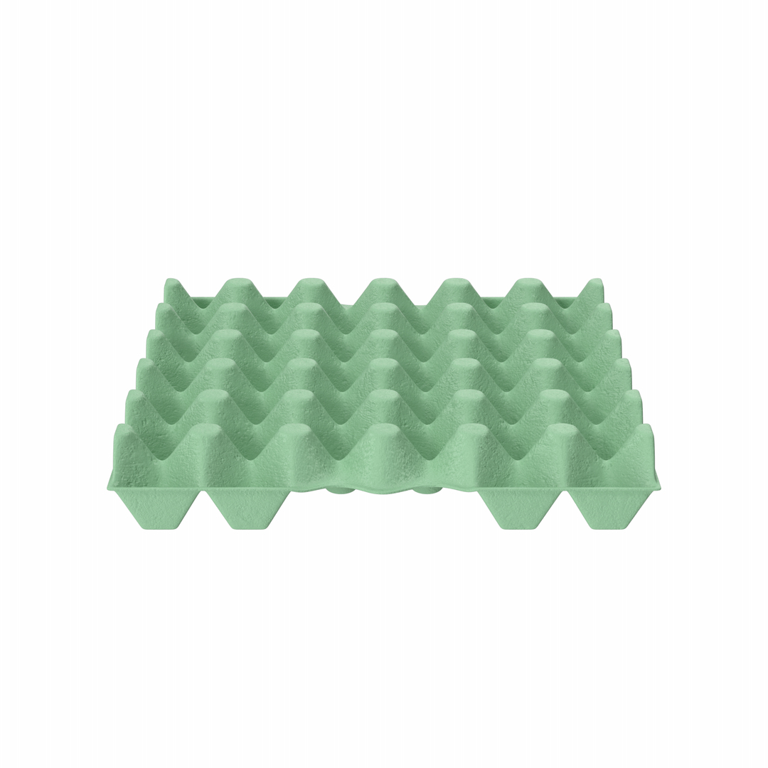 Green Egg Tray 3D model https://p.turbosquid.com/ts-thumb/QR/t6rGNY/Op/p/png/1710787838/1920x1080/turn_fit_q99/54737c5e3911ff37aecb6fedc1642b3c6c194444/p-1.jpg