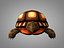 turtle model