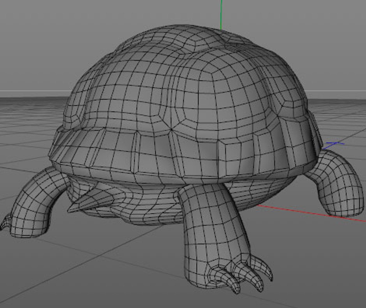 Turtle Model - TurboSquid 1346418