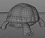 turtle model
