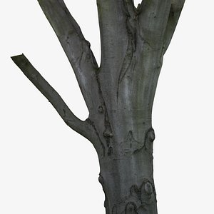 3d tree trunk scanned cleaned model