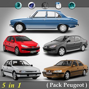 5 in 1 ( Pack Peugeot )