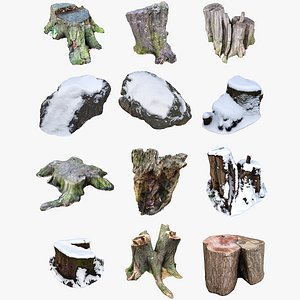 nature stumps rocks 3D model