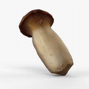 Photorealistic 3D Scanned of Oyster mushroom