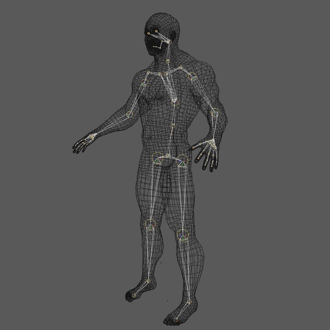 3d Model Realistic Asian Man Rigged