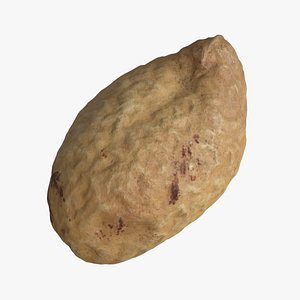 3D Peanut Unshelled Single Pod 2