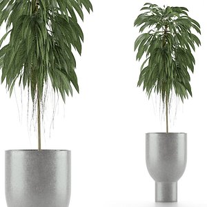 single plant 11 3D model
