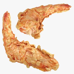 Fried Shrimp 02 Collection