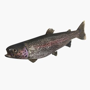 Trout