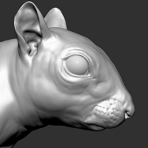 3D squirrel zbrush
