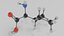 Isoleucine molecule model
