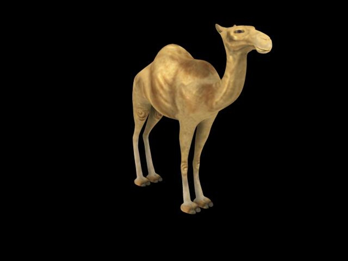 3d camel model https://p.turbosquid.com/ts-thumb/QT/FpiwRe/MALm1yvG/02/jpg/1294379586/1920x1080/fit_q87/78226ab6e525db124a816cd6e376db08e9e97038/02.jpg