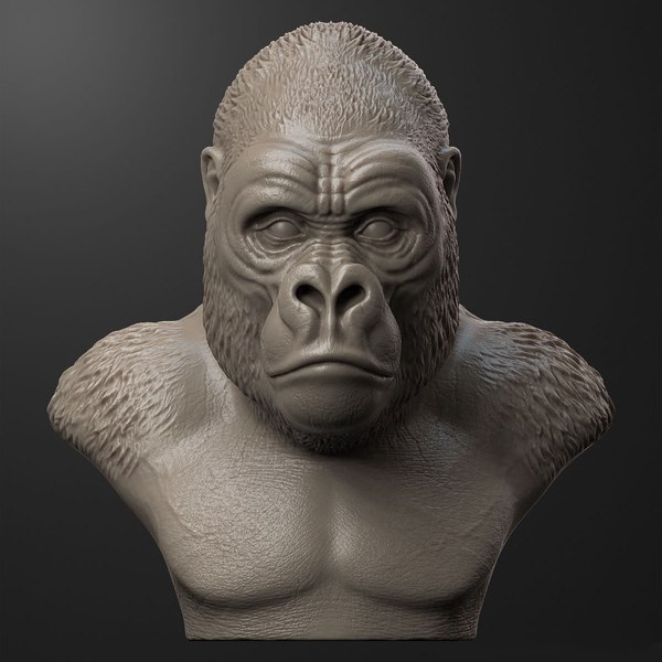 3d model gorilla head animal