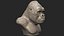 Gorilla Head Sculpture