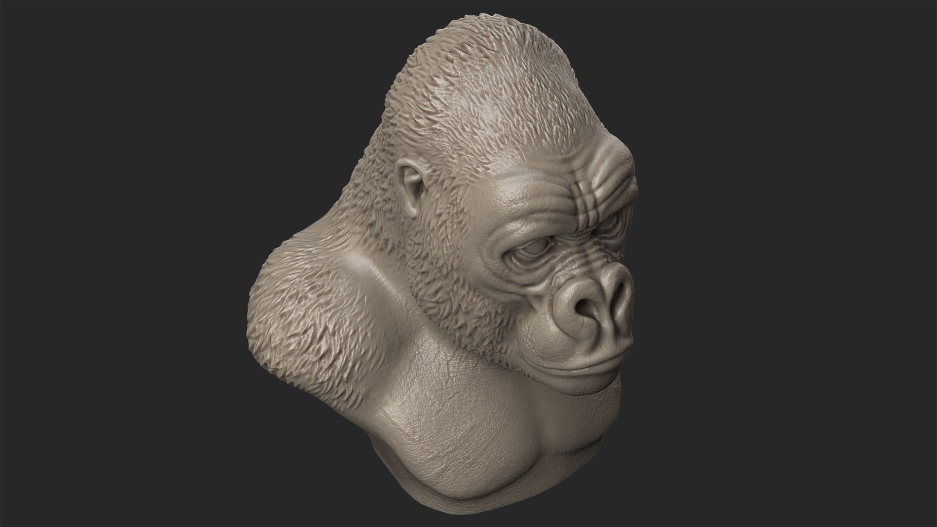 3d Model Gorilla Head Animal
