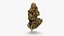 Cannabis Collection 2