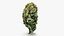 Cannabis Collection 2