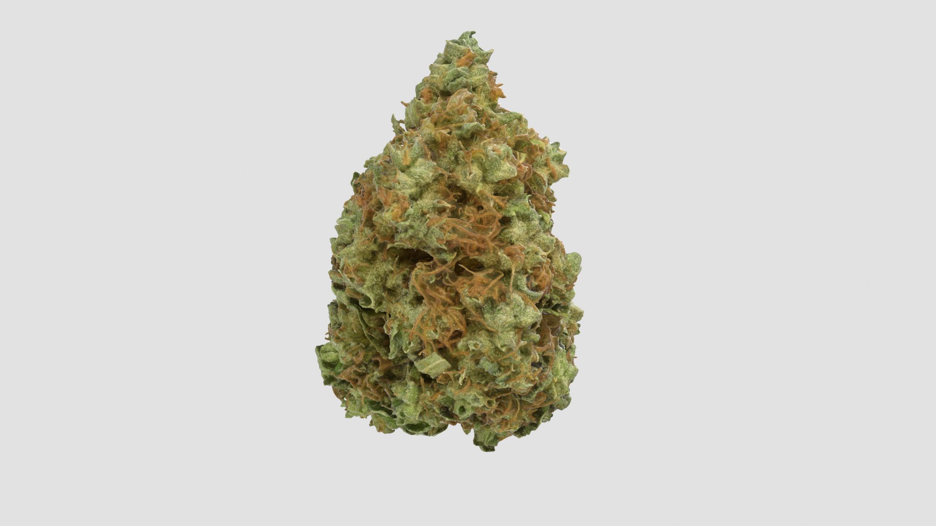 cannabis bud scan 3D model https://p.turbosquid.com/ts-thumb/QT/JDxFFJ/6MGWXjN7/gsc2_r4/png/1588173915/1920x1080/fit_q87/4d453f9dccb8c2652d1adedd62f045768e9d2289/gsc2_r4.jpg