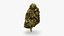 Cannabis Collection 2