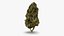 Cannabis Collection 2