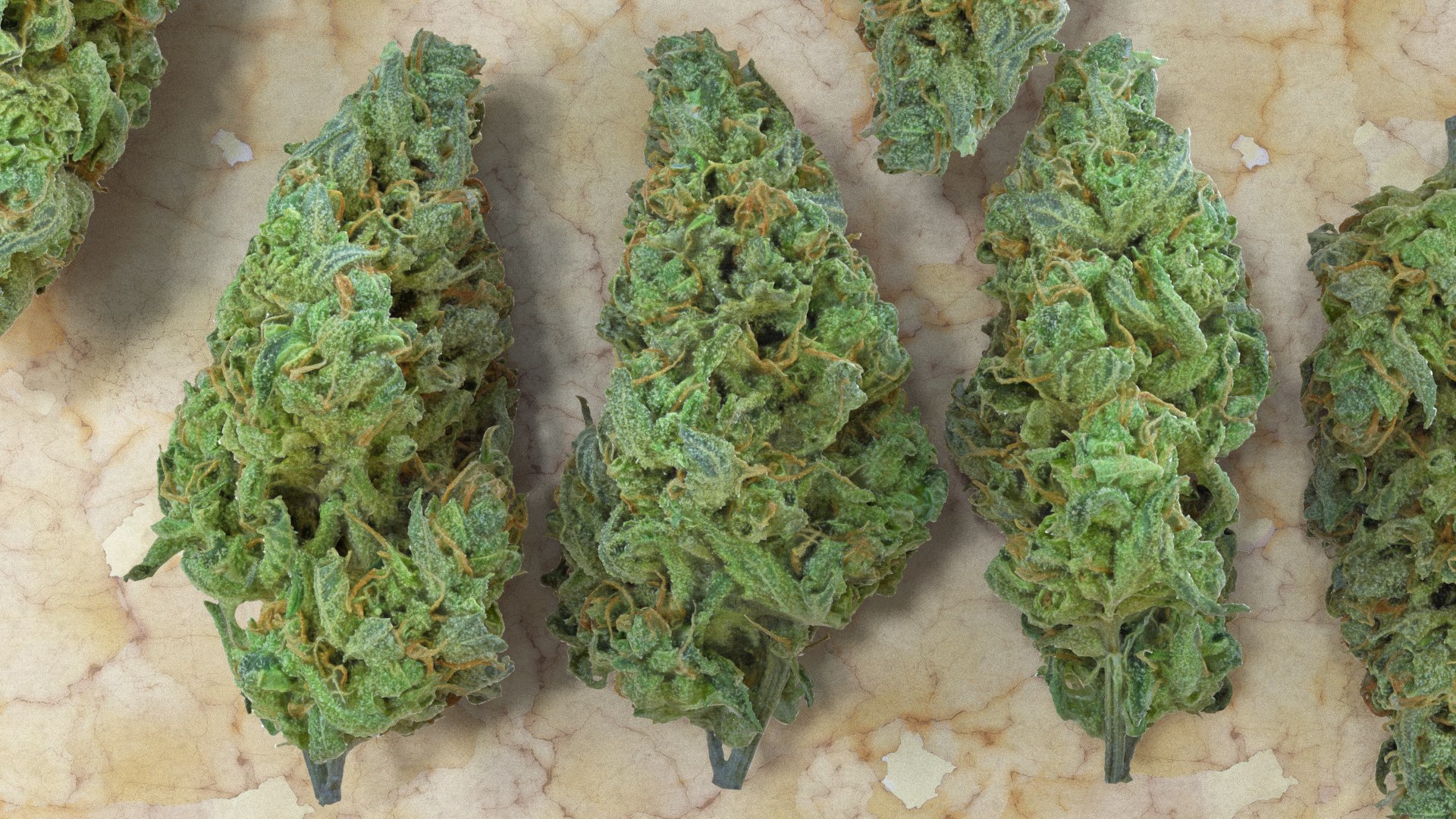 cannabis bud scan 3D model https://p.turbosquid.com/ts-thumb/QT/JDxFFJ/DFGTrUcW/1c/png/1588173910/1920x1080/fit_q87/2840f123fe9539a3f8e714ba9b7878b682502d50/1c.jpg