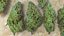 Cannabis Collection 2