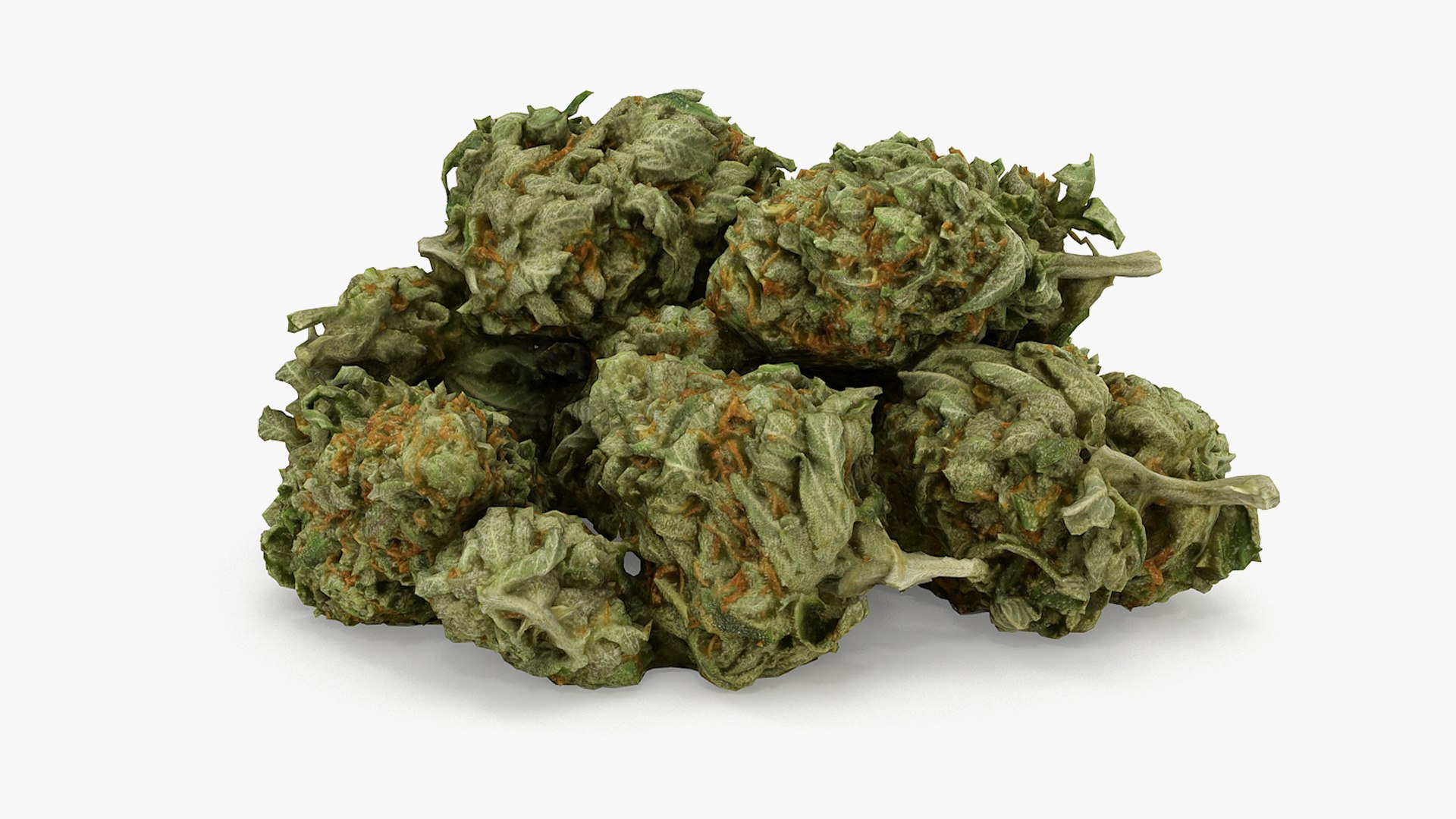 cannabis bud scan 3D model https://p.turbosquid.com/ts-thumb/QT/JDxFFJ/ER3aueE2/11/png/1588176525/1920x1080/fit_q87/046b47dd6c261b3882a34645437a92e34b439f0a/11.jpg