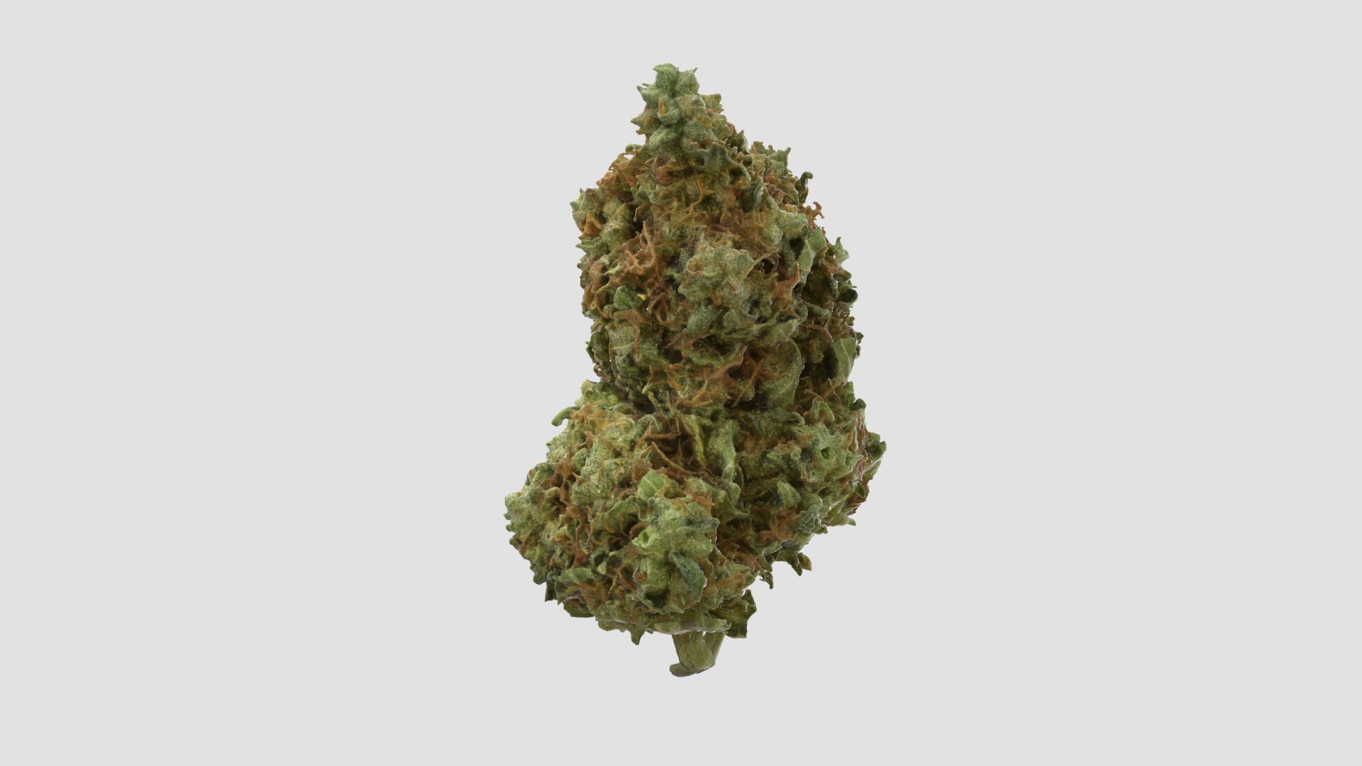 cannabis bud scan 3D model https://p.turbosquid.com/ts-thumb/QT/JDxFFJ/Gc5gG2pe/gsc2_r1/png/1588173913/1920x1080/fit_q87/c3f59c2b7e8cf4550b3313f11ea591eb721861f9/gsc2_r1.jpg
