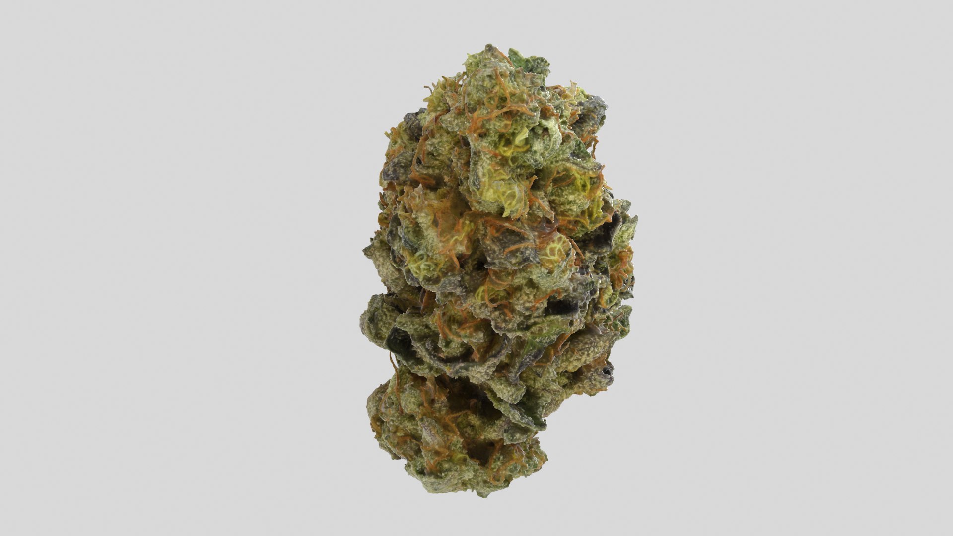 cannabis bud scan 3D model https://p.turbosquid.com/ts-thumb/QT/JDxFFJ/HCIuoqpL/zkittlez_r3a/png/1588173943/1920x1080/fit_q87/d182d68d8604d665a8a5ffde3240866099f4c556/zkittlez_r3a.jpg