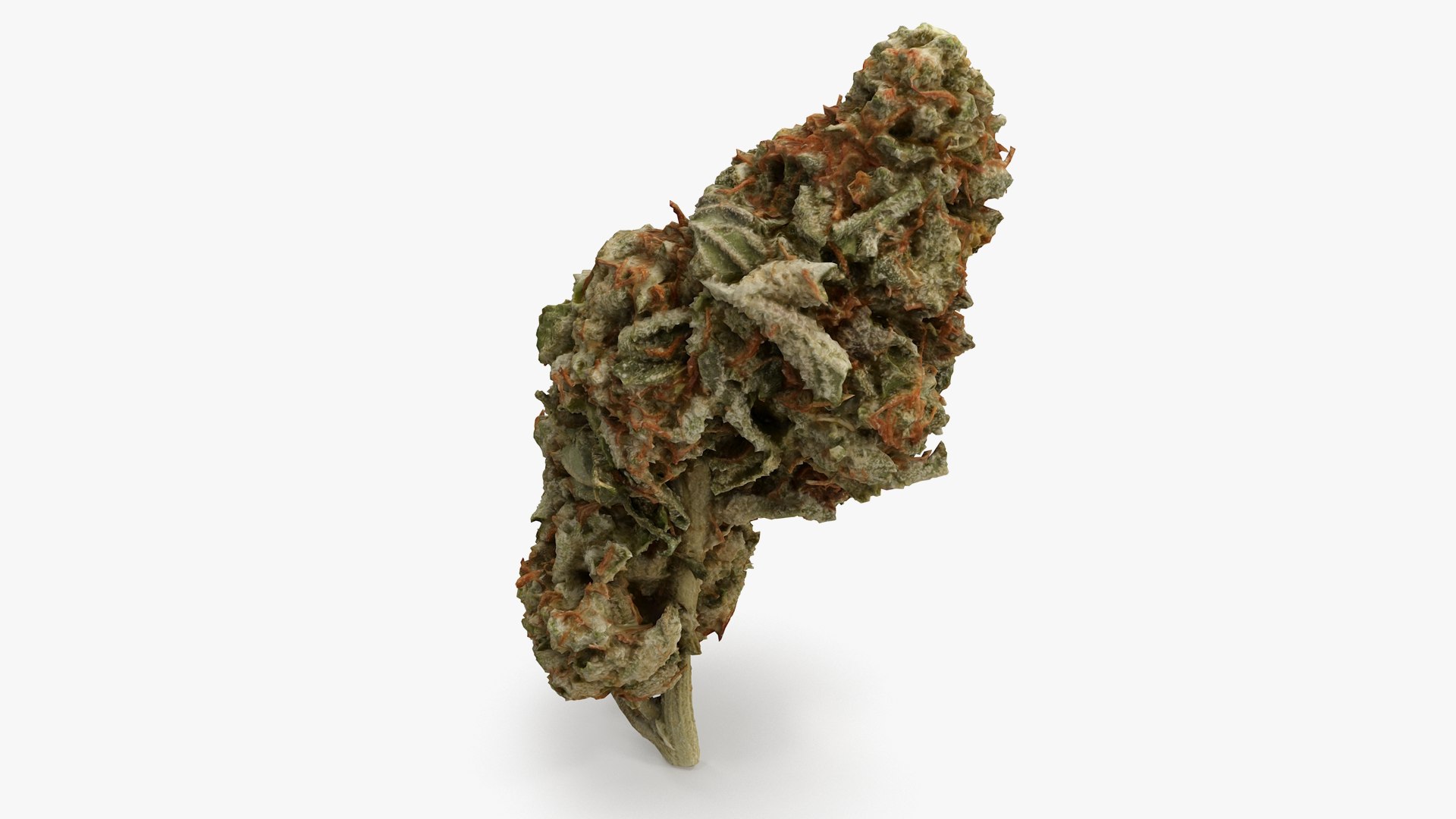 cannabis bud scan 3D model https://p.turbosquid.com/ts-thumb/QT/JDxFFJ/Jvahi0B0/20/png/1588176532/1920x1080/fit_q87/9ab7f7e54ce7a1a7a0124c5172b38fc742174171/20.jpg