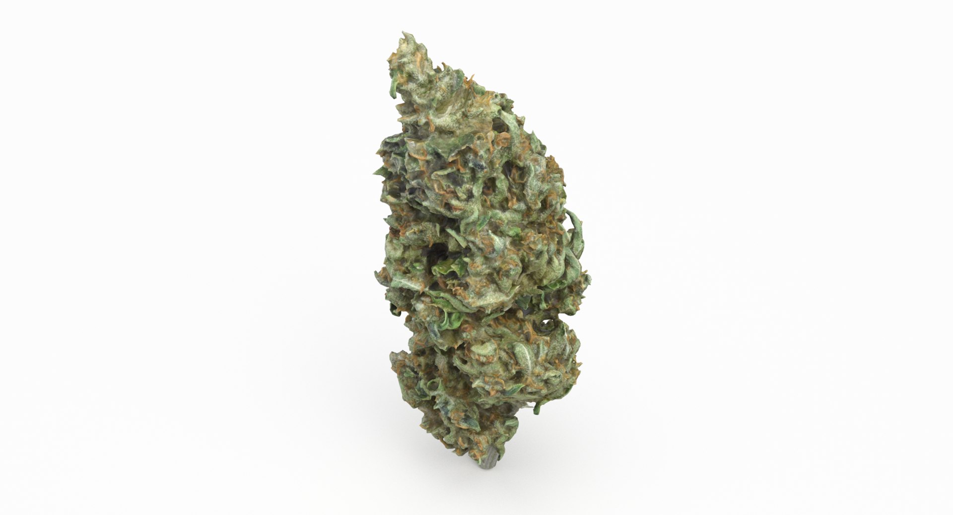 cannabis bud scan 3D model https://p.turbosquid.com/ts-thumb/QT/JDxFFJ/KUiJrJ8k/sourdiesel_r5/png/1588173938/1920x1080/fit_q87/f665ac360c10efaaff763741a1ad4429dc2ab21f/sourdiesel_r5.jpg