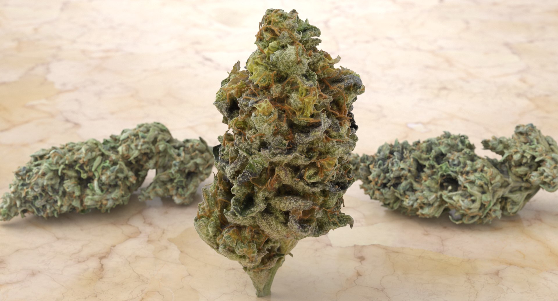 cannabis bud scan 3D model https://p.turbosquid.com/ts-thumb/QT/JDxFFJ/PT85gldL/zkittlez_r4c/png/1588173947/1920x1080/fit_q87/35ce045e1102d43b54e2422e92cc383dbb532fd8/zkittlez_r4c.jpg