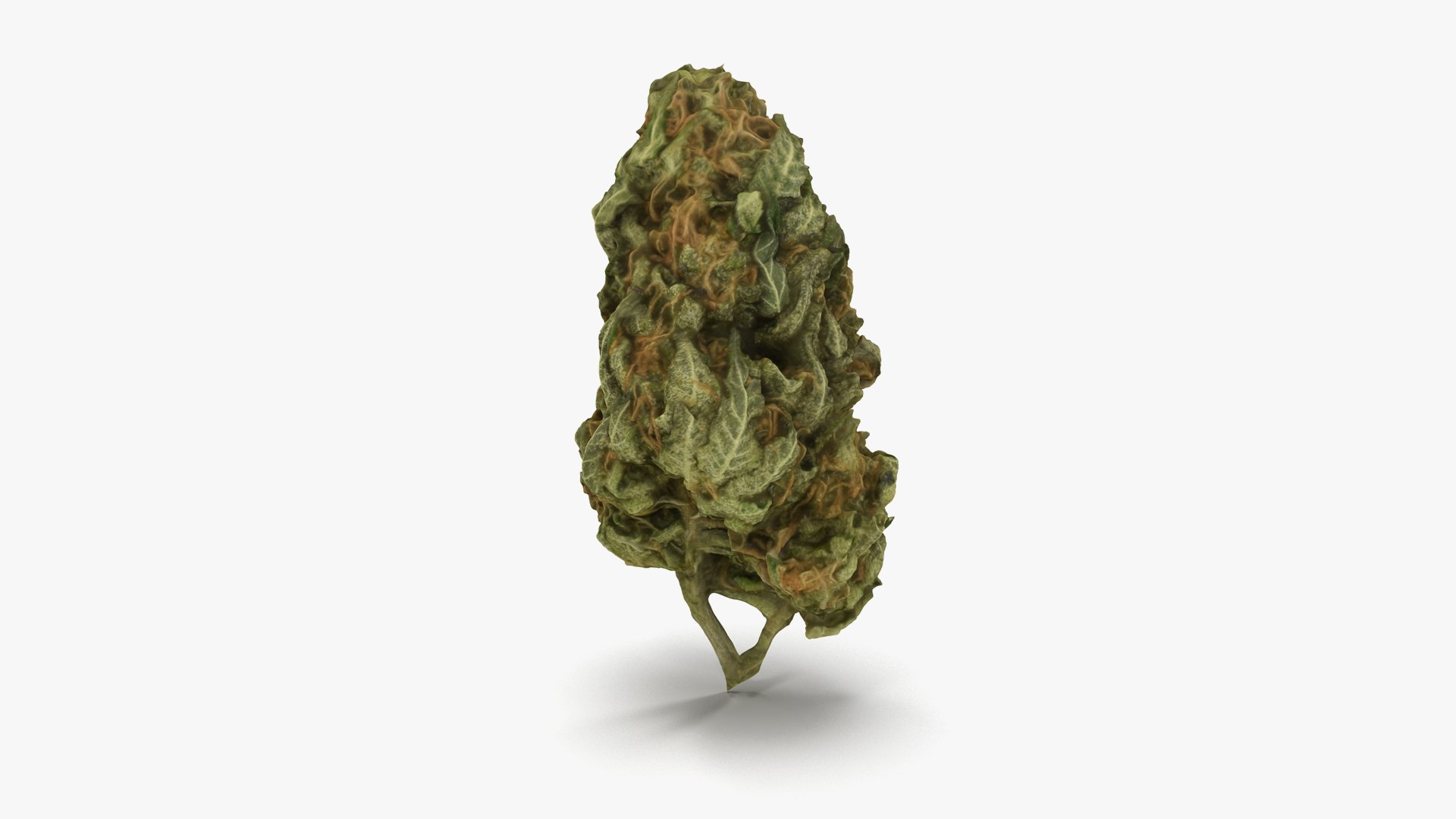 cannabis bud scan 3D model https://p.turbosquid.com/ts-thumb/QT/JDxFFJ/Pj9fsCiW/25/png/1588176533/1920x1080/fit_q87/b1f864ce22ff5b2f3e899ae43dd8b7f00befde16/25.jpg