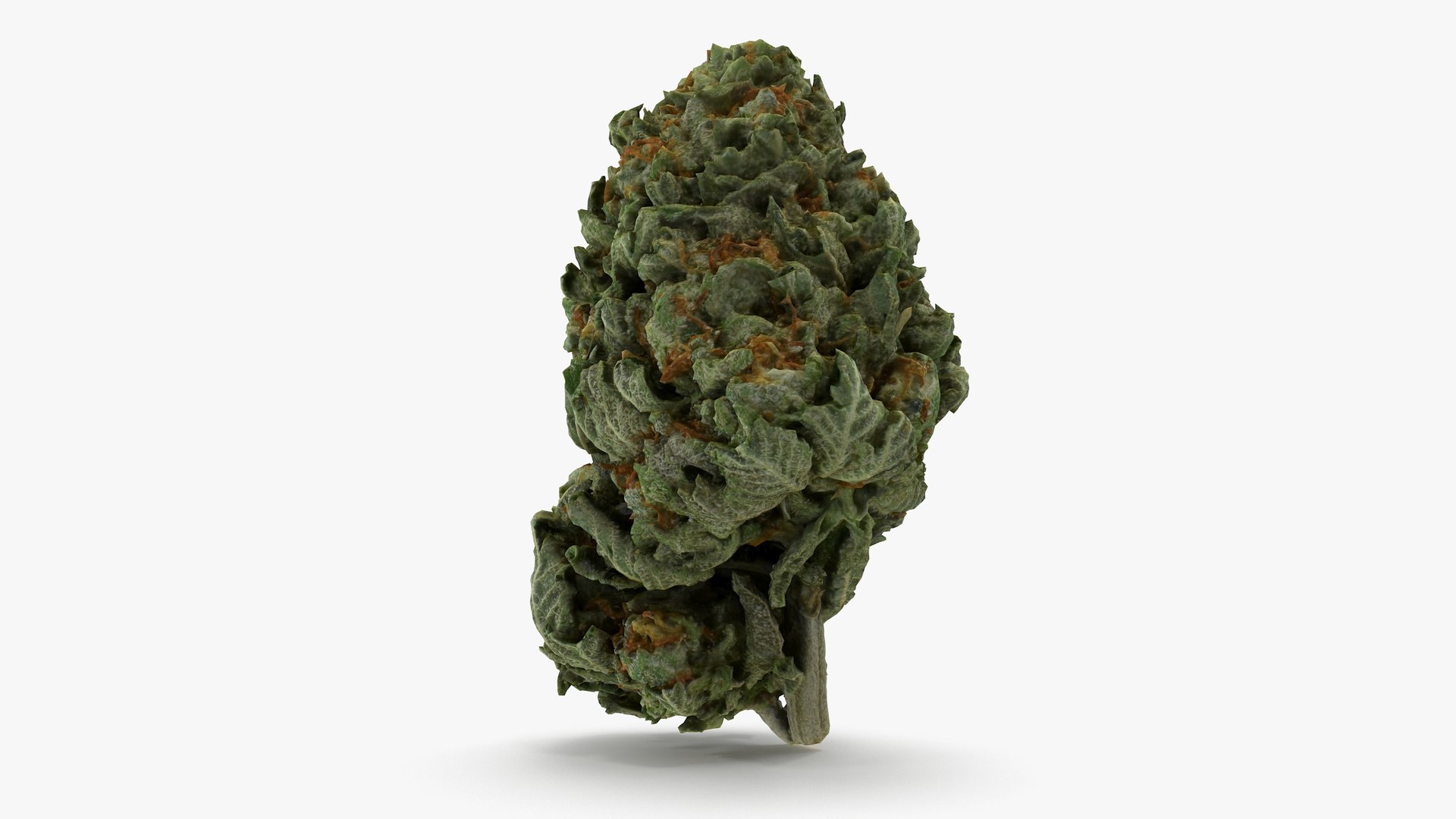cannabis bud scan 3D model https://p.turbosquid.com/ts-thumb/QT/JDxFFJ/S4as1qFr/2/png/1588176520/1920x1080/fit_q87/5c33b995d8f35b5991acc7a96c3e1e1e94e161c5/2.jpg