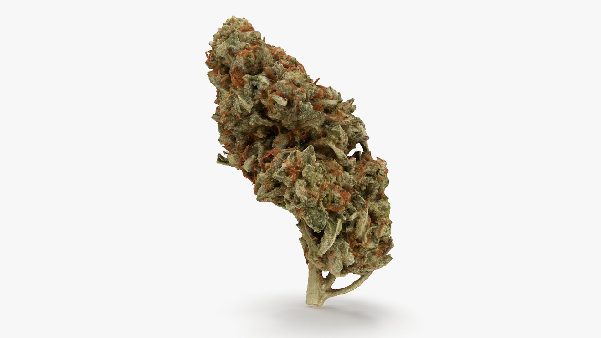 cannabis bud scan 3D model https://p.turbosquid.com/ts-thumb/QT/JDxFFJ/Td4noL1F/21/png/1588176532/1920x1080/fit_q87/3463d65265d9da67bbbdfa3133b96ed60c1aca4b/21.jpg