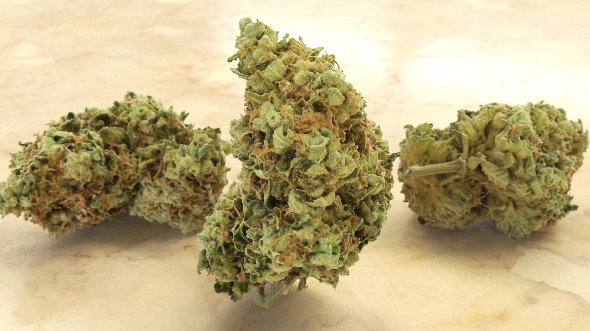 cannabis bud scan 3D model https://p.turbosquid.com/ts-thumb/QT/JDxFFJ/UHyWM1OX/6c/png/1588173914/1920x1080/fit_q87/51da9f2e12b0054e949f35664b68f27e81f9a54c/6c.jpg