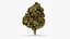 Cannabis Collection 2