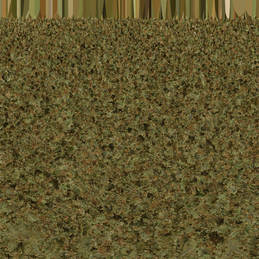 cannabis bud scan 3D model https://p.turbosquid.com/ts-thumb/QT/JDxFFJ/br1LT8Zo/gsc_uv/jpg/1588173994/1920x1080/fit_q87/5cc718eb1d1bbf13d9a9d008bf825745585c9ca4/gsc_uv.jpg