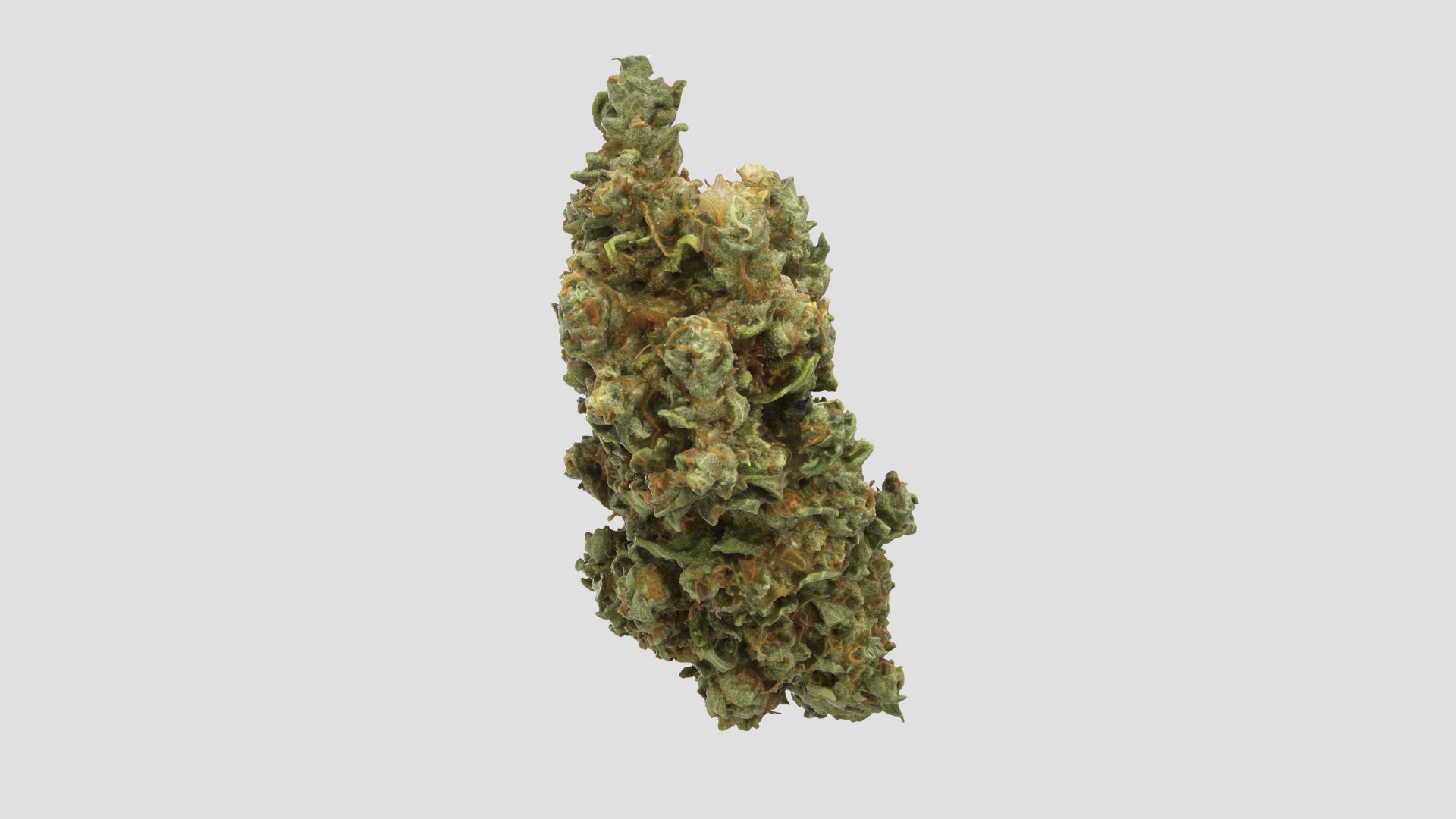 cannabis bud scan 3D model https://p.turbosquid.com/ts-thumb/QT/JDxFFJ/cUaBgNLH/mk_r5/png/1588173921/1920x1080/fit_q87/0173d1ce1ce54ac9d48b2c86501eb09b5a235fa2/mk_r5.jpg