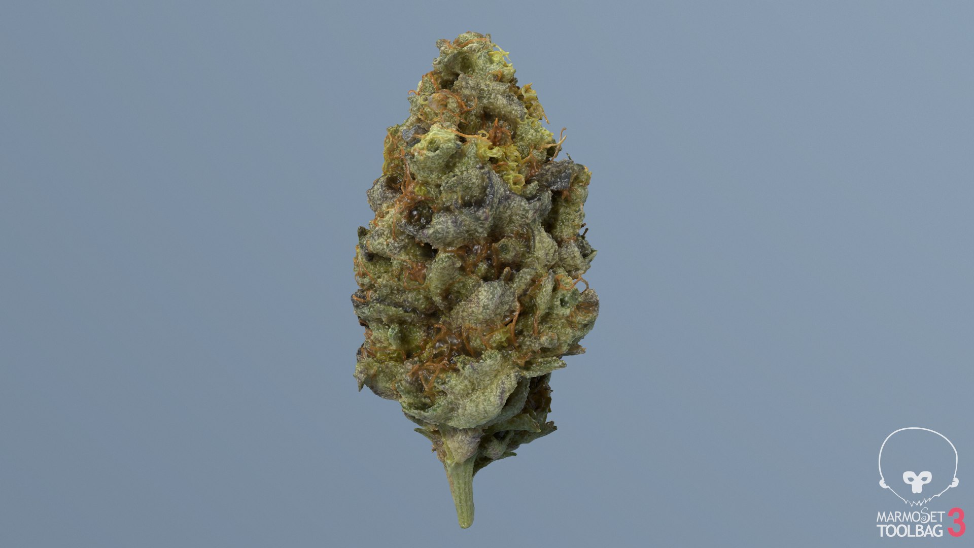 cannabis bud scan 3D model https://p.turbosquid.com/ts-thumb/QT/JDxFFJ/j9rpBn3H/screenshot1513/png/1588173926/1920x1080/fit_q87/1b492a6e4961f0094e8e9aeb8094643bc59b234d/screenshot1513.jpg